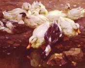 Max Enten Am Teich - 亚历山大·凯斯特